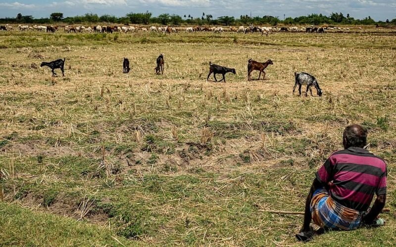 Farmers Demand