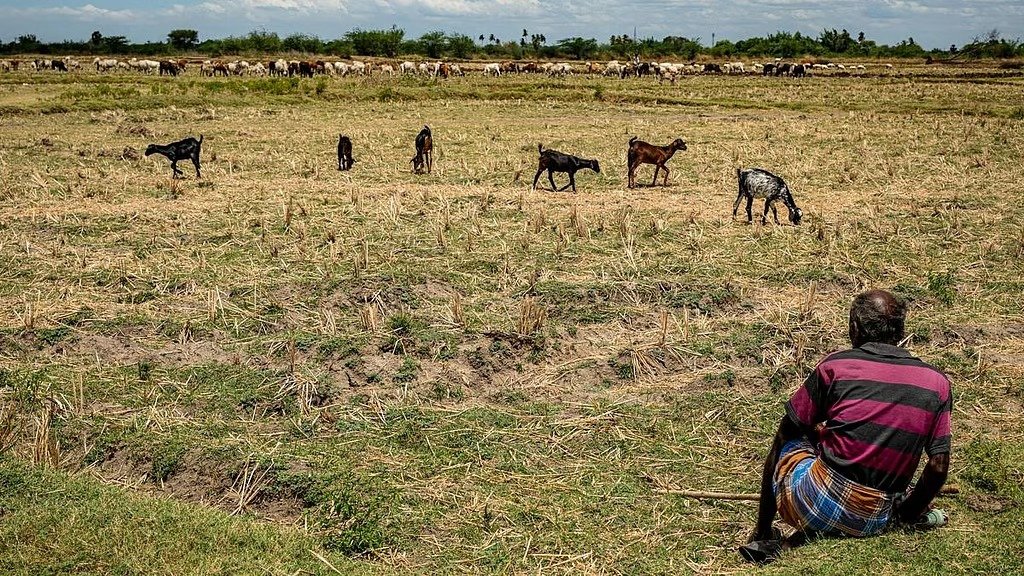 Farmers Demand