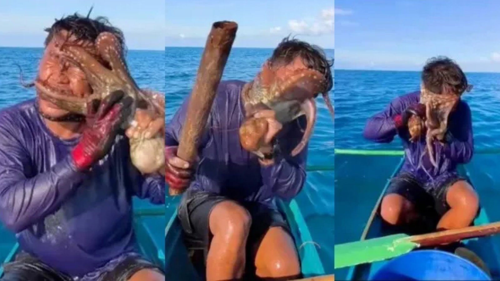 Octopus
