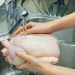 chicken
