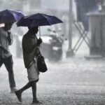 Rain