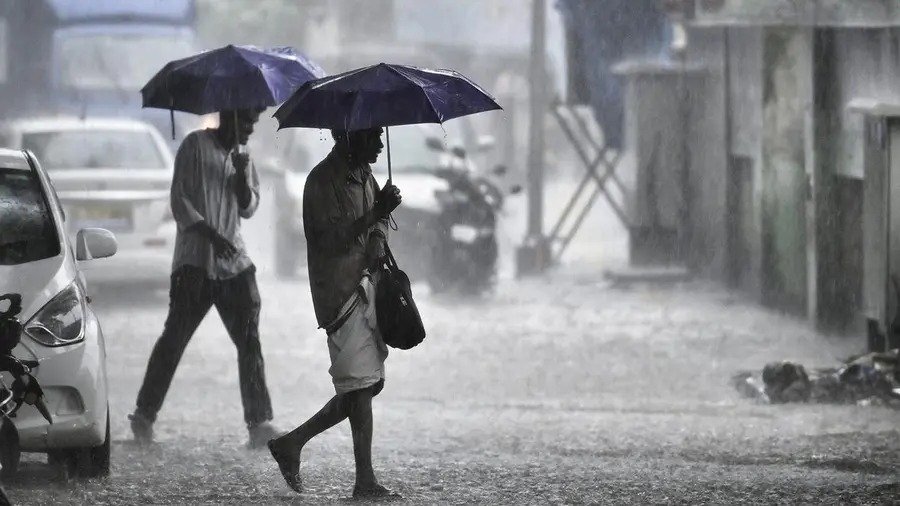 Rain