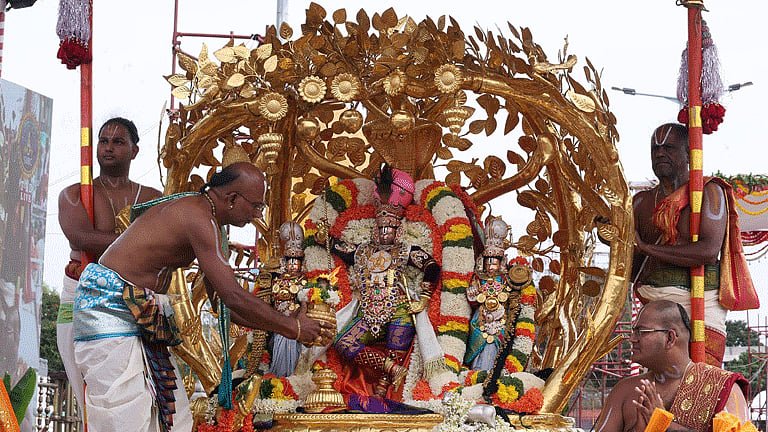 திருப்பதி பிரம்மோற்சவம்: கற்பகவிருட்ச வாகனத்தில் மலையப்ப சுவாமி வீதிஉலா! 1 dailythanthi 2026 09 திருப்பதி பிரம்மோற்சவம்: கற்பகவிருட்ச வாகனத்தில் மலையப்ப சுவாமி வீதிஉலா!