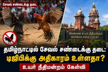 சேவல் சண்டைக்கு தடை விதிக்க டிஜிபிக்கு என்ன அதிகாரம் உள்ளது? – உயர்நீதிமன்றம் சரமாரி கேள்வி!