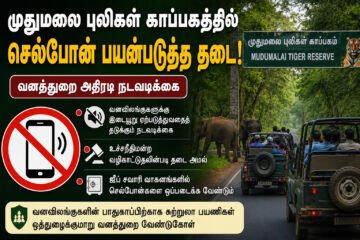 முதுமலை புலிகள் காப்பகத்தில் செல்போன் பயன்படுத்த தடை!