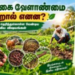 file 000000005ef48211bfae1dab3aab5b05 இயற்கை வேளாண்மை என்றால் என்ன? விவசாயிகள் தெரிந்துகொள்ள வேண்டிய முக்கிய விஷயங்கள்!