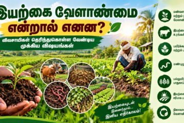இயற்கை வேளாண்மை என்றால் என்ன? விவசாயிகள் தெரிந்துகொள்ள வேண்டிய முக்கிய விஷயங்கள்!