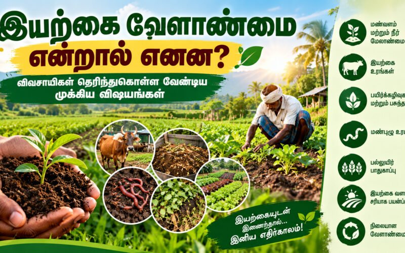 இயற்கை வேளாண்மை என்றால் என்ன? விவசாயிகள் தெரிந்துகொள்ள வேண்டிய முக்கிய விஷயங்கள்! 1 file 000000005ef48211bfae1dab3aab5b05 இயற்கை வேளாண்மை என்றால் என்ன? விவசாயிகள் தெரிந்துகொள்ள வேண்டிய முக்கிய விஷயங்கள்!